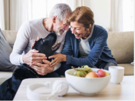 loan finance companies