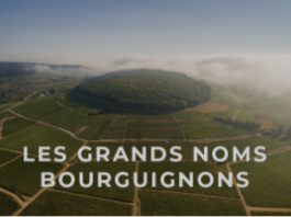 acheter du vin à Dijon,