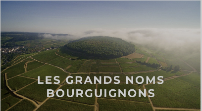 Screenshot from 2024-12-23 20-24-48 acheter du vin à Dijon