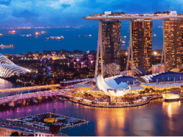 electronic Singapore arrival card