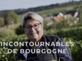 acheter du vin à Dijon